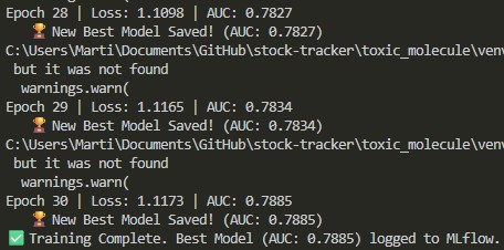 MLflow Training Logs